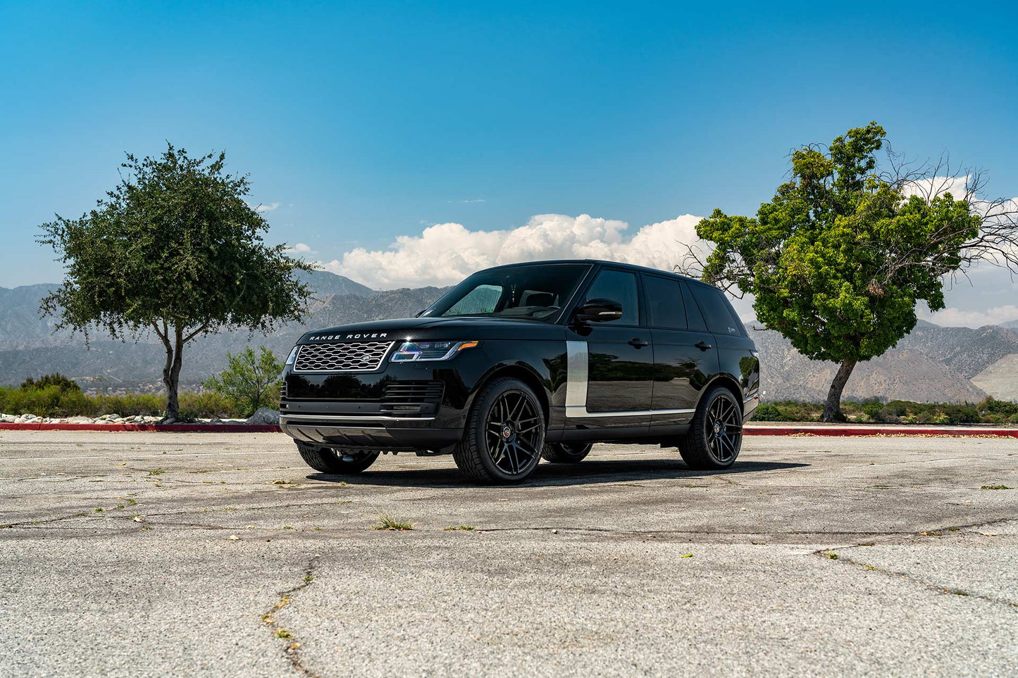 CURVA WHEELS Classic Series C300 - Gloss Black