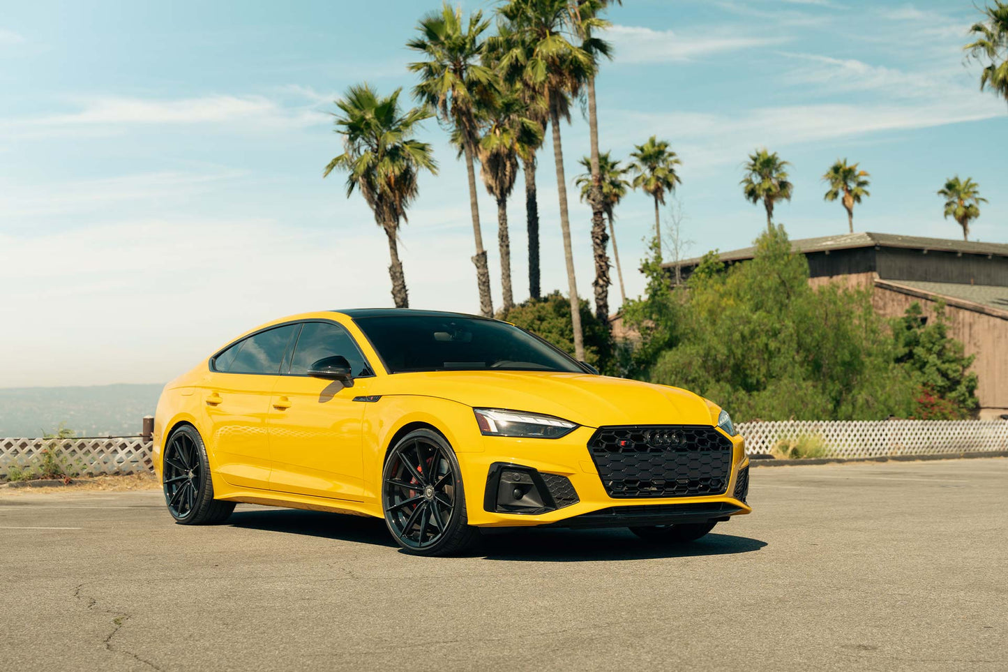 CURVA WHEELS Flow Forged CFF46 - Gloss Black